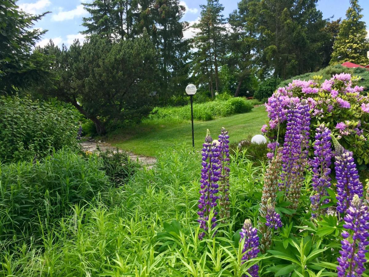 Landhotel Hubertus Unterelsbach Екстериор снимка