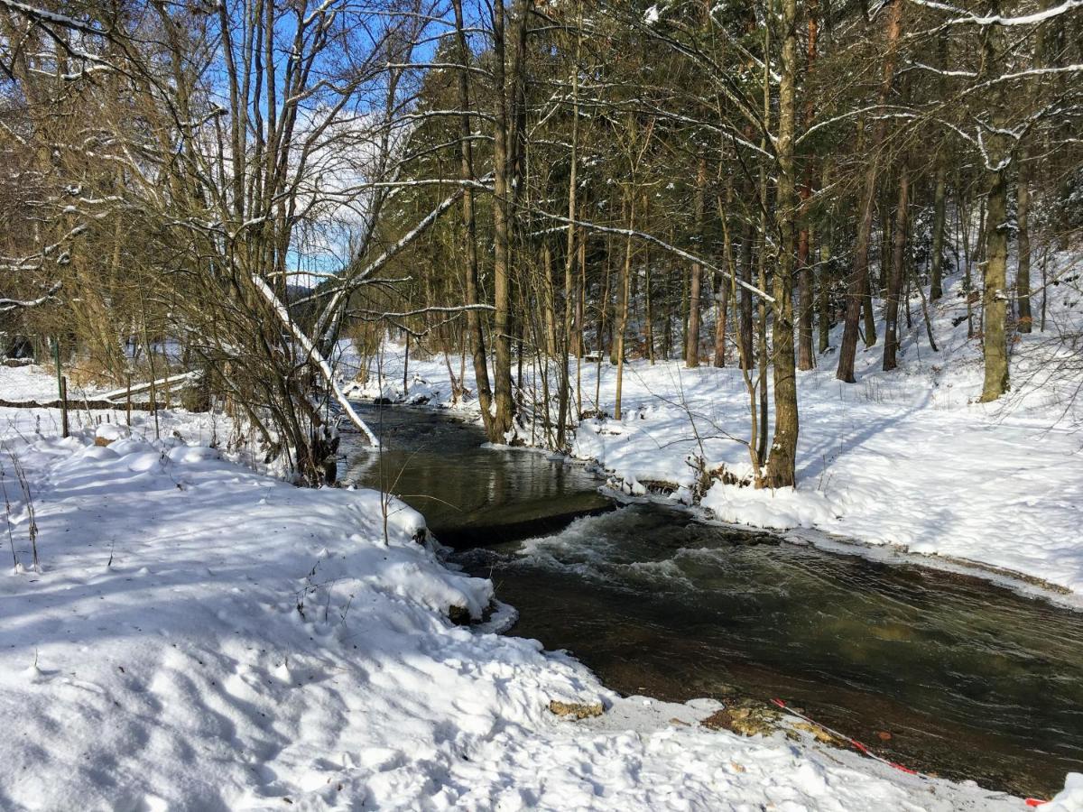 Landhotel Hubertus Unterelsbach Екстериор снимка