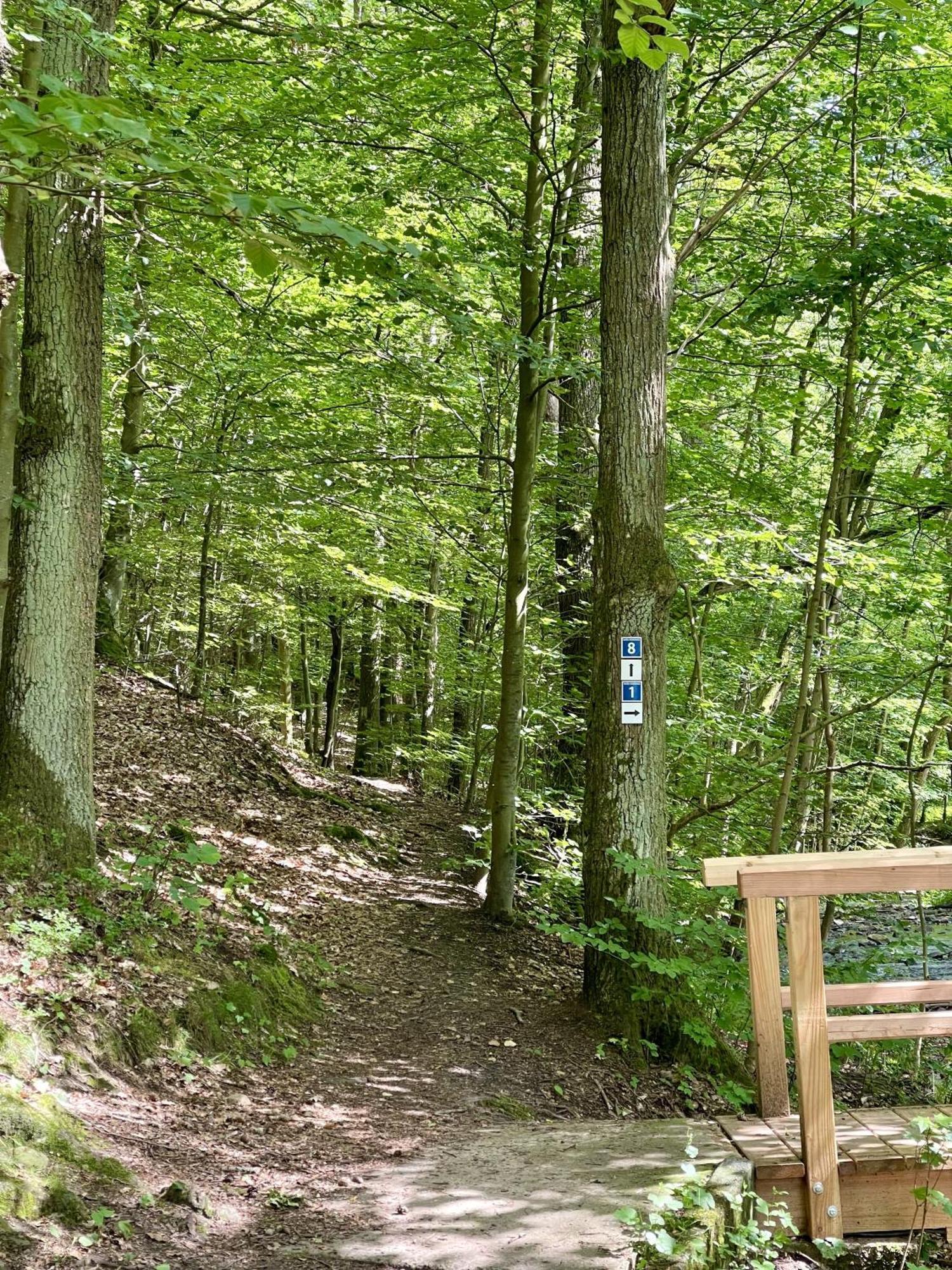 Landhotel Hubertus Unterelsbach Екстериор снимка